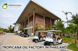 Tropicana Pure Virgin Thai Coconut Oil ORGANIC for Hair Skin Face Unrefined 500 ml.